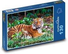 Tygr - dravec, masožravec Puzzle 130 dílků - 28,7 x 20 cm