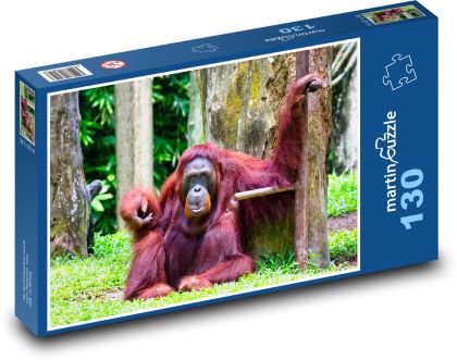 Orangutan - zvíře, opice - Puzzle 130 dílků, rozměr 28,7x20 cm