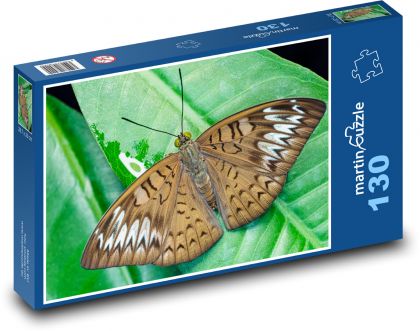 Motýl - okřídlený hmyz, křídla - Puzzle 130 dílků, rozměr 28,7x20 cm