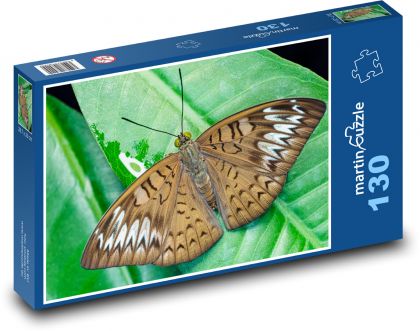 Schmetterling - geflügelte Insekten, Flügel - Puzzle - 130 Teile
