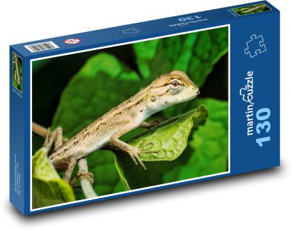 Gekon - jaszczurka, gad - Puzzle 130 elementów, rozmiar 28,7x20 cm