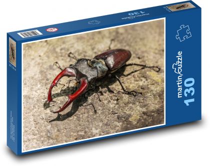 Roháč - brouk, hmyz - Puzzle 130 dílků, rozměr 28,7x20 cm