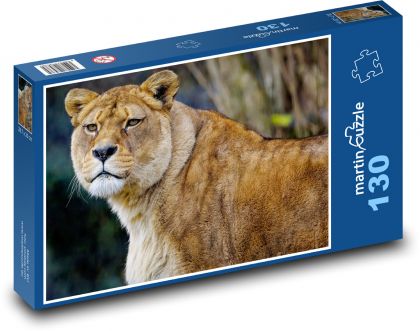 Lvice - lev, dravec - puzzle 130 dílků