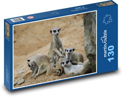 Surikata - rodina, zvíře - puzzle 130 dílků