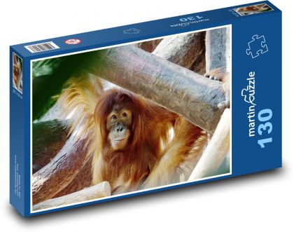 Orangutan - zviera, opica - Puzzle 130 dielikov, rozmer 28,7x20 cm 