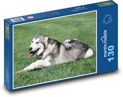 Aljašský malamut - zvíře, pes - Puzzle 130 dílků, rozměr 28,7x20 cm
