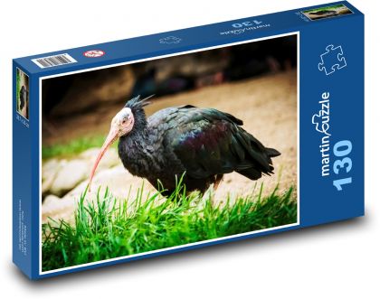 Ibis - pták, zvíře - Puzzle 130 dílků, rozměr 28,7x20 cm