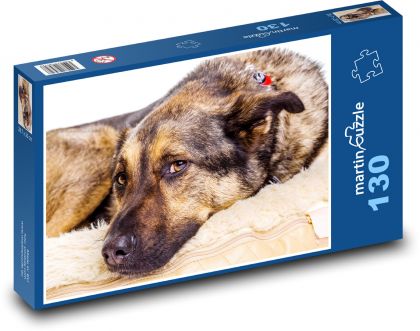 Německý ovčák - pes, zvíře - Puzzle 130 dílků, rozměr 28,7x20 cm
