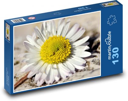 Sedmikráska - okvětní lístky, květina - puzzle 130 dílků