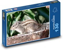 Veverička - hlodavec, zviera Puzzle 130 dielikov - 28,7 x 20 cm 