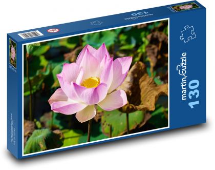 Lotus - květina, květ - Puzzle 130 dílků, rozměr 28,7x20 cm