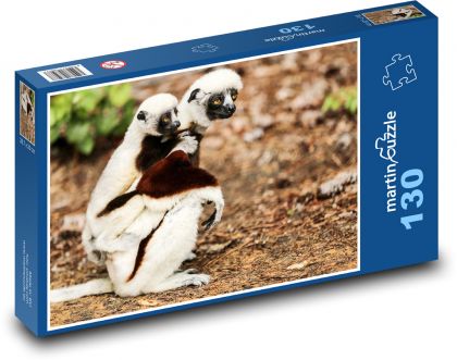 Sifaka Coquerelův - lemur, zvíře - Puzzle 130 dílků, rozměr 28,7x20 cm