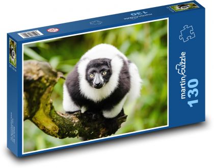 Lemur - zbliżenie, zwierzę - Puzzle 130 elementów, rozmiar 28,7x20 cm