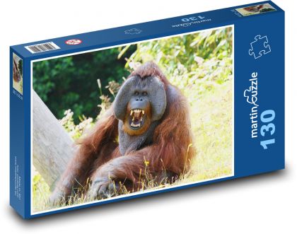 Orangutan - opice, zvíře - Puzzle 130 dílků, rozměr 28,7x20 cm