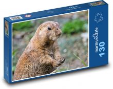 Prairie pes - zviera, hlodavec Puzzle 130 dielikov - 28,7 x 20 cm 