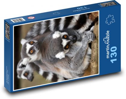 Animal - lemur, mammal - Puzzle 130 pieces, size 28.7x20 cm 