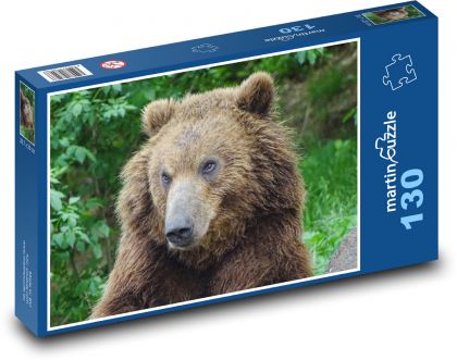 Niedźwiedź kamczacki - zoo w Brnie, zwierzę - Puzzle 130 elementów, rozmiar 28,7x20 cm