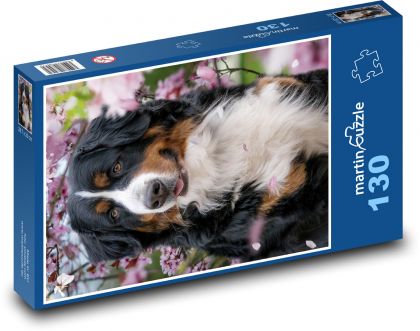 Bernský šalasnický pes - zvíře, mazlíček - Puzzle 130 dílků, rozměr 28,7x20 cm
