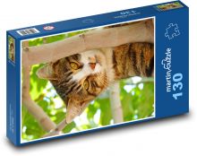 Mačka - zviera, domáce zviera Puzzle 130 dielikov - 28,7 x 20 cm 