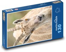 Goat - head, horns Puzzle 130 pieces - 28.7 x 20 cm 