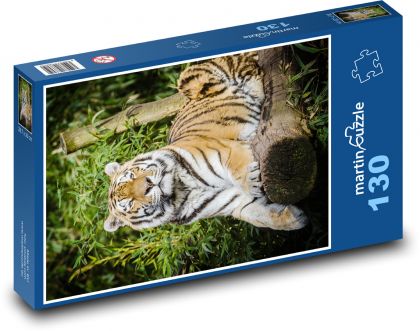 Tiger - veľká mačka, cicavec - Puzzle 130 dielikov, rozmer 28,7x20 cm 