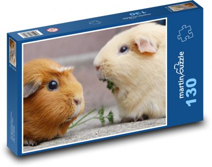 Morča - hlodavec, zviera - Puzzle 130 dielikov, rozmer 28,7x20 cm 