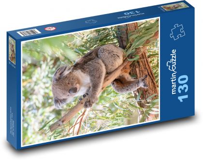 Koala - marsupial, herbivore - Puzzle 130 pieces, size 28.7x20 cm 