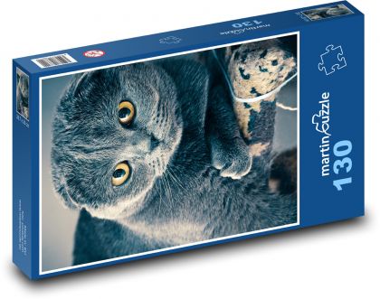 Skotská kočka - zvíře, mazlíček - Puzzle 130 dílků, rozměr 28,7x20 cm