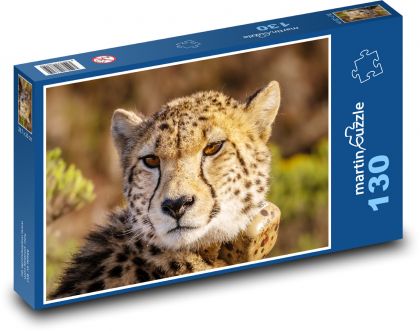 Gepard - divoké zvíře, kočka - Puzzle 130 dílků, rozměr 28,7x20 cm