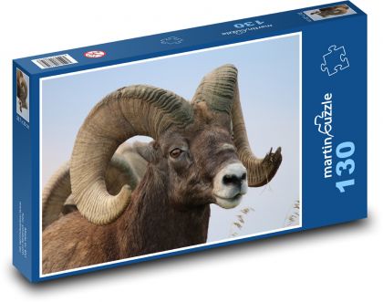 Pouštní tlustorohá ovce - zvíře, rohy - Puzzle 130 dílků, rozměr 28,7x20 cm