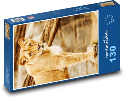 Lioness - beast, predator - Puzzle 130 pieces, size 28.7x20 cm 