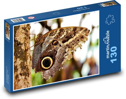Schmetterling - Insekten, Flügel - Puzzle - 130 Teile