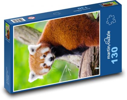 Panda červená - zvíře, roztomilý - Puzzle 130 dílků, rozměr 28,7x20 cm