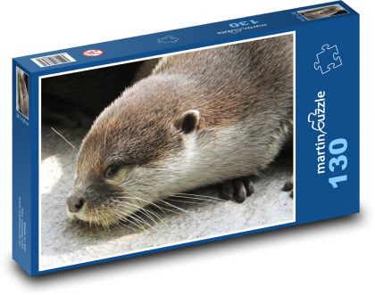 Wydra - zoo, zwierzę - Puzzle 130 elementów, rozmiar 28,7x20 cm