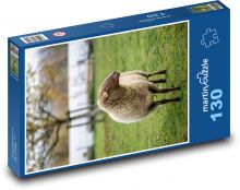 Ovce - zvíře, farma Puzzle 130 dílků - 28,7 x 20 cm