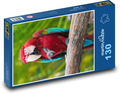 Ptak - papuga, zoo - Puzzle 130 elementów, rozmiar 28,7x20 cm