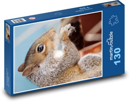 Wiewiórka - gryzoń, dzikie zwierzę - Puzzle 130 elementów, rozmiar 28,7x20 cm