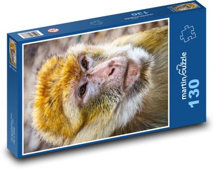 Barbarská opice - zvíře, savec - puzzle 130 dílků