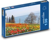 Wyspa Mainau - Jezioro Bodeńskie, tulipany Puzzle 130 elementów - 28,7x20 cm
