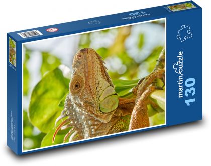 Iguana - reptile, lizard - Puzzle 130 pieces, size 28.7x20 cm 