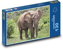 Slon - zvíře, safari Puzzle 130 - 28,7x20 cm