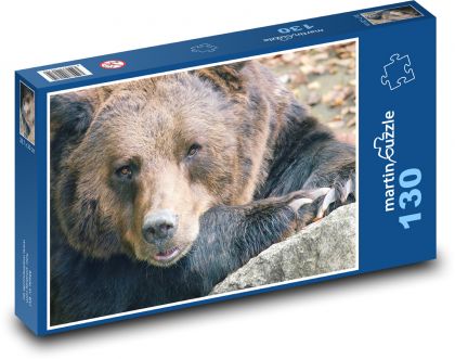 Medvěd - zvíře, savec - puzzle 130 dílků