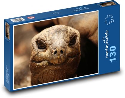 Schildkröte - Reptil, Tier - Puzzle - 130 Teile