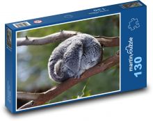 Koala - torbacz, zwierzę Puzzle 130 elementów - 28,7x20 cm