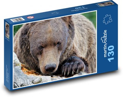 Hnědý medvěd  - Puzzle 130 dílků, rozměr 28,7x20 cm