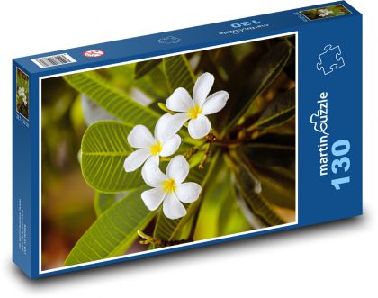 Bílý květ - květina, zahrada - puzzle 130 dílků