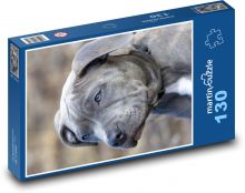 Pit bull - pes, štěně Puzzle 130 dílků - 28,7 x 20 cm