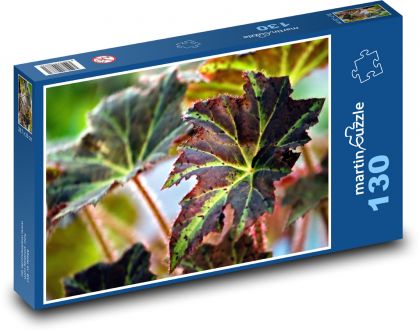 Begonien - Zimmerpflanze, Blume - Puzzle - 130 Teile