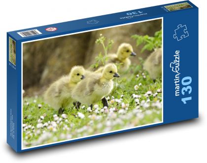 Kachňata - kachny - puzzle 130 dílků