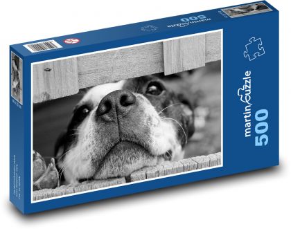 Dog behind the fence (black and white photo) - Puzzle of 500 pieces, size 46x30 cm 